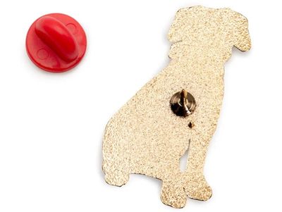 Pin Zagüate