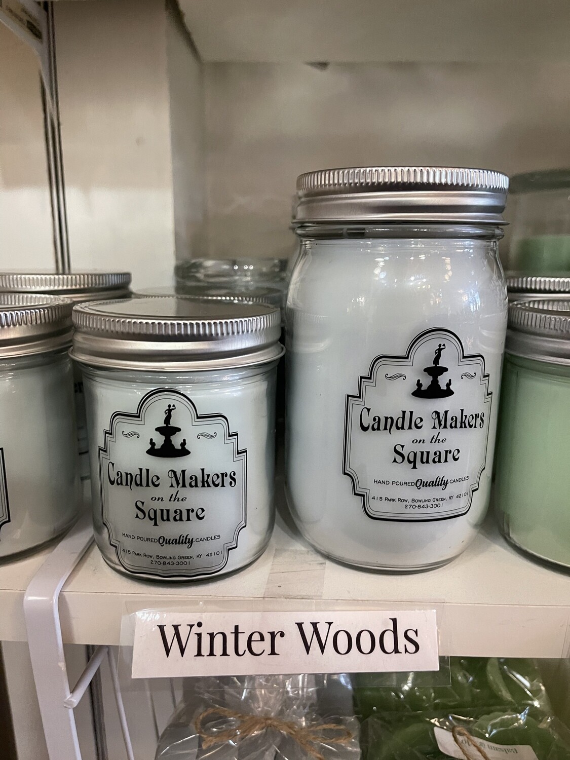 Winter Woods