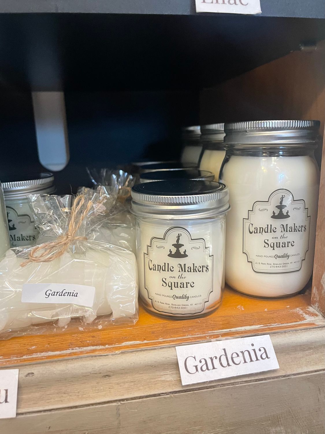 Gardenia