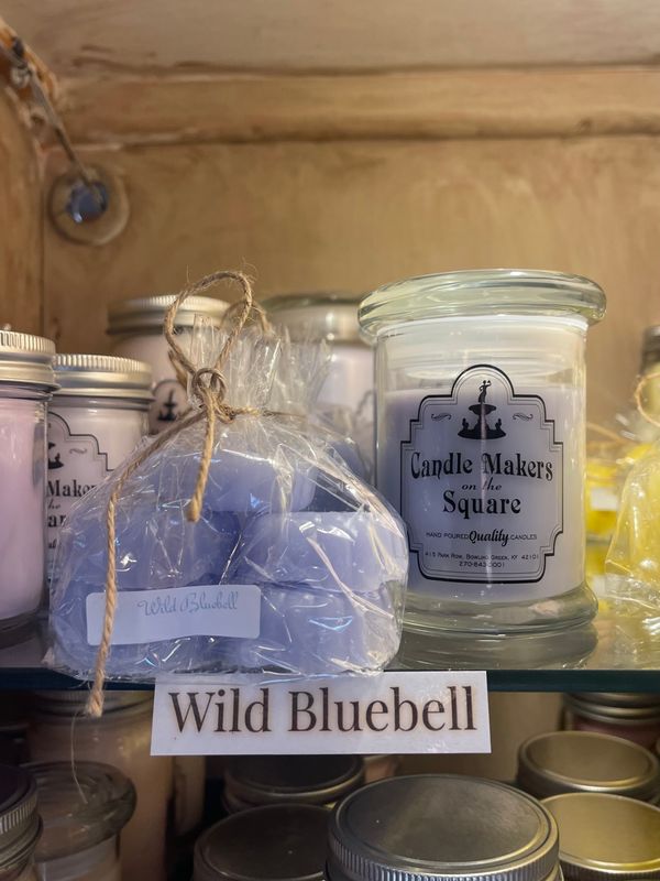 Wild Bluebell