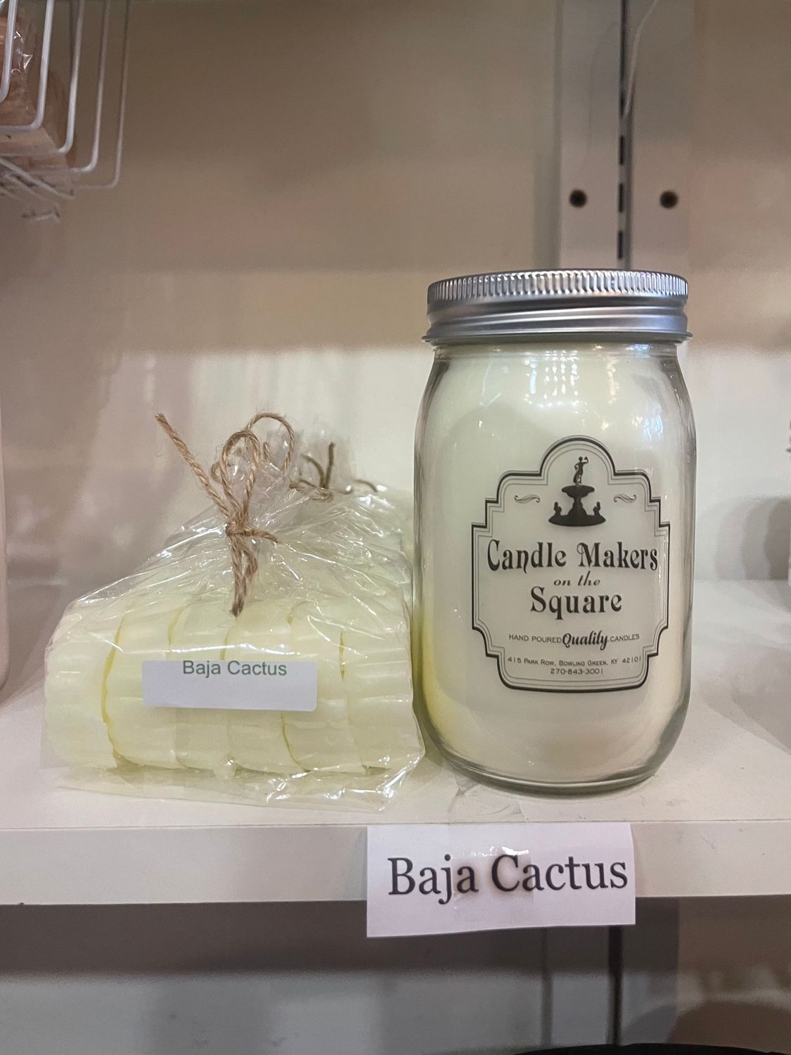 Baja Cactus