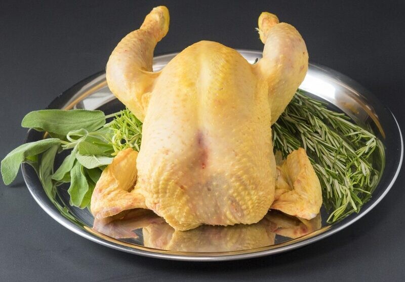 Pollo Toscanello