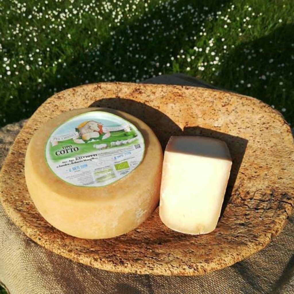 Pecorino Biologico Bacciotti