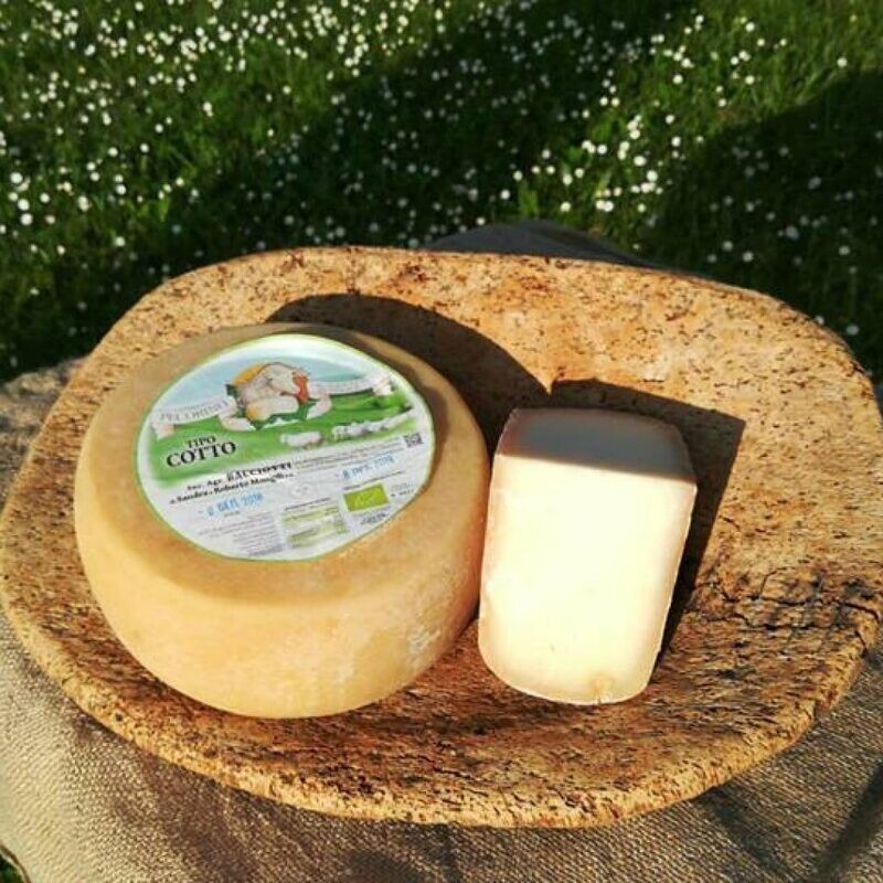 Pecorino Biologico Bacciotti