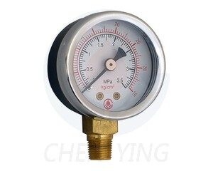 Chen-Ying-Pressure-Gauge-M06010-Stem-Mount