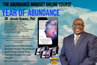 The Abundance Mindset Project Audio Program