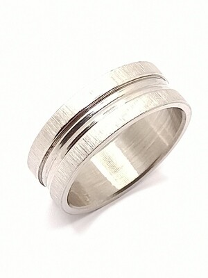 Stainless Steel silver scrub color ring