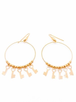 Silver 925 hanging 5 key elements rose earing