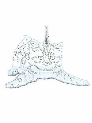 Silver 925 uniq cat  with details pendant