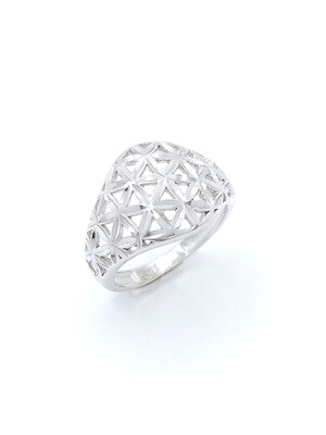 Silver 925 diamond cut flower ring