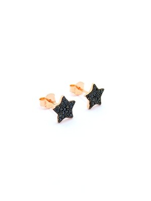 Silver 925 star or moon stud earrings