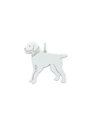 Silver 925 Golden Doodle dog pendant