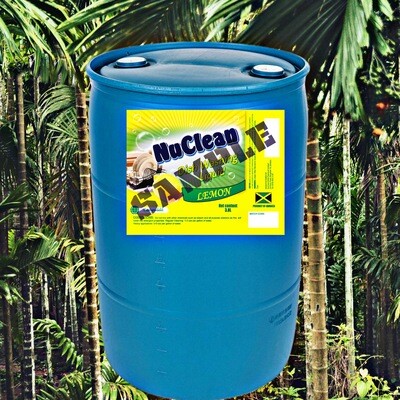 Dish Washing Liquid (Click to Order)