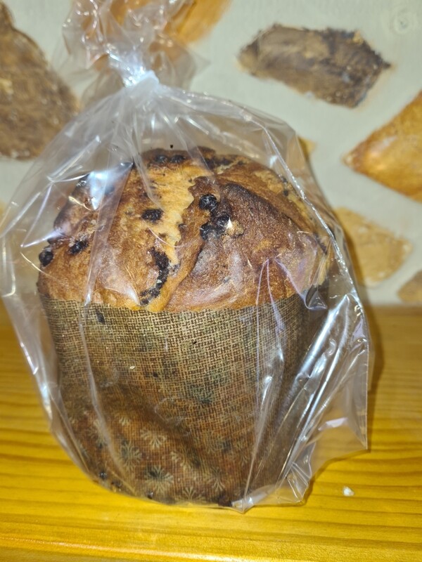 Panettone de chocolate 