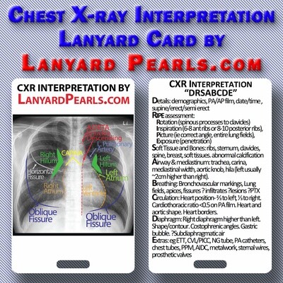 Chest X-Ray (CXR) Interpretation