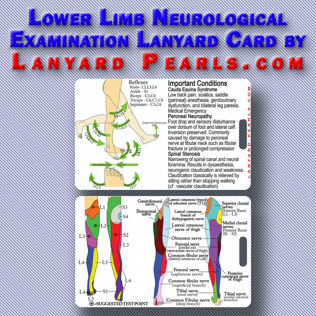 Lower Limb Dermatome + Myotome Neuro Exam Lanyard Card