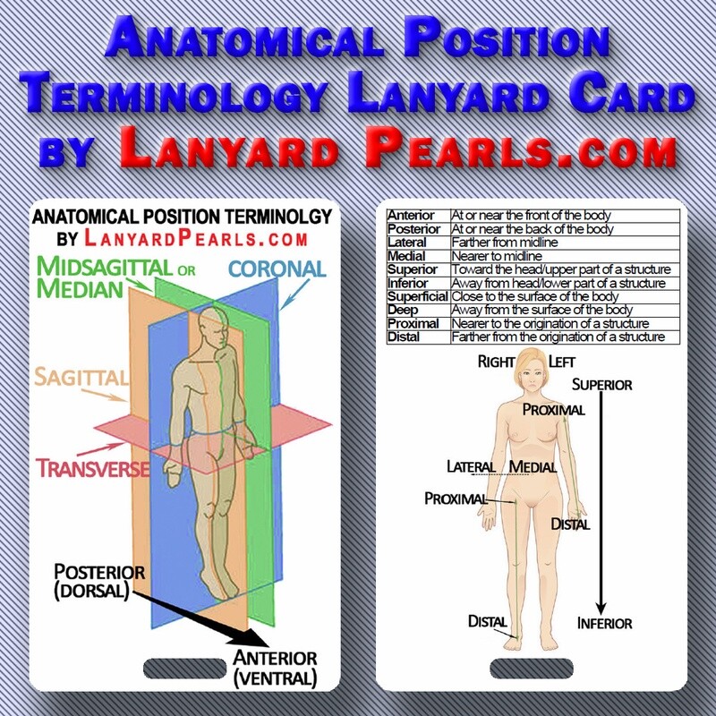 Anatomical Position Terminology