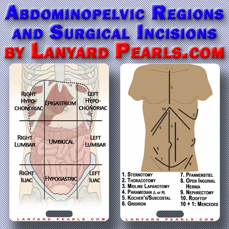 Abdominopelvic Regions &amp; Surgical Incisions