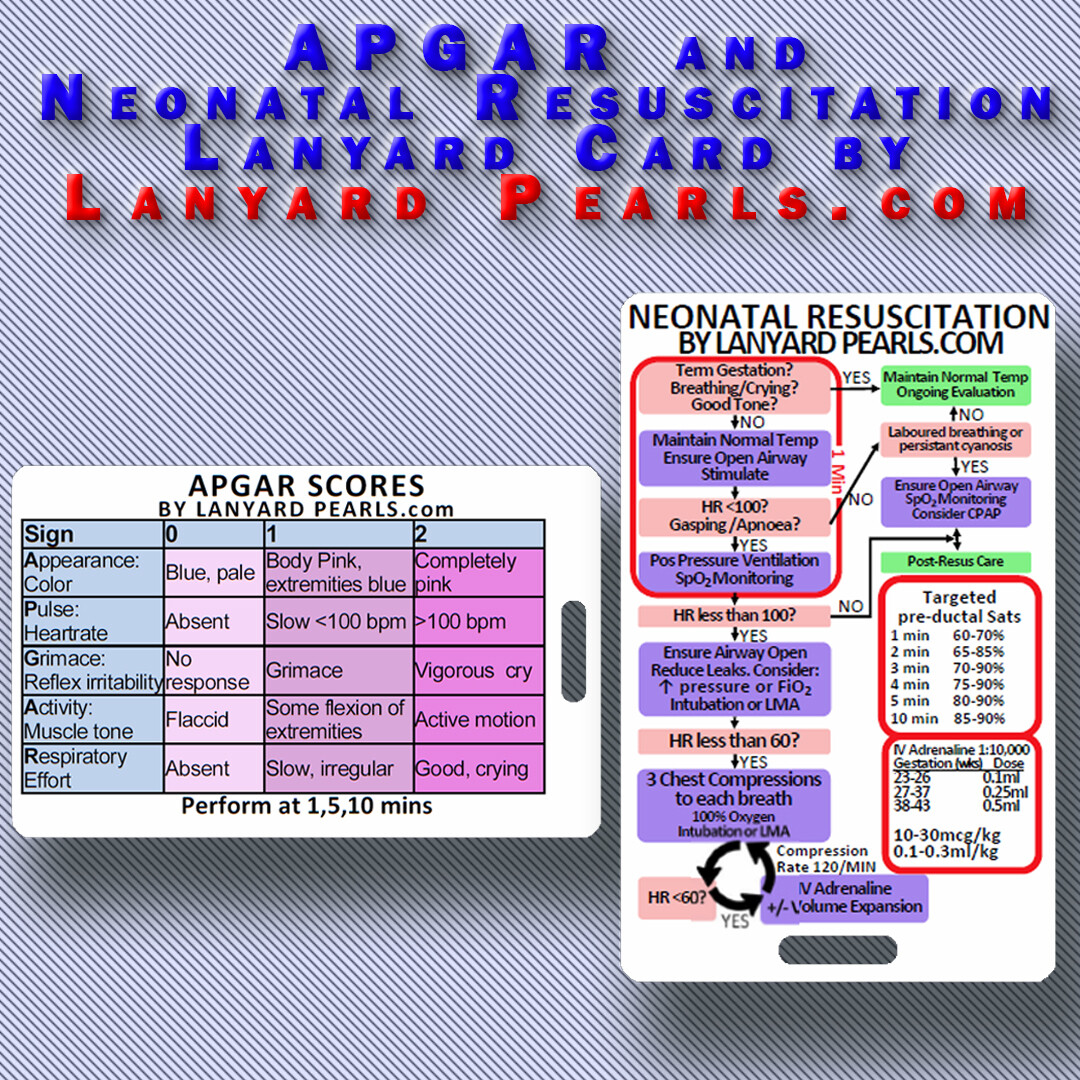 APGAR Score and Neonatal Resuscitation Algorithm