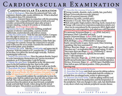 Cardiovascular Examination