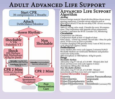 Adult Advanced Life Support (ALS)