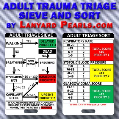 Trauma Sieve and Sort Trauma Sieve and Sort