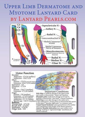 Upper Limb Dermatome + Myotome