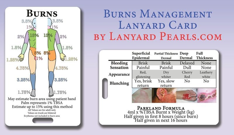 Burns Management with Lund and Browder Chart