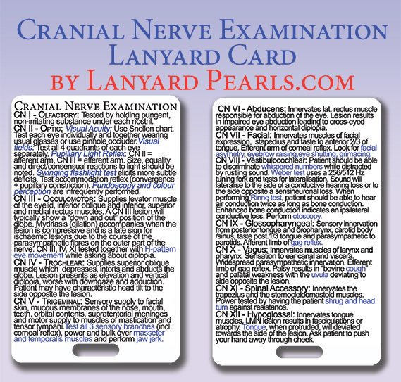 Cranial Nerve Examination