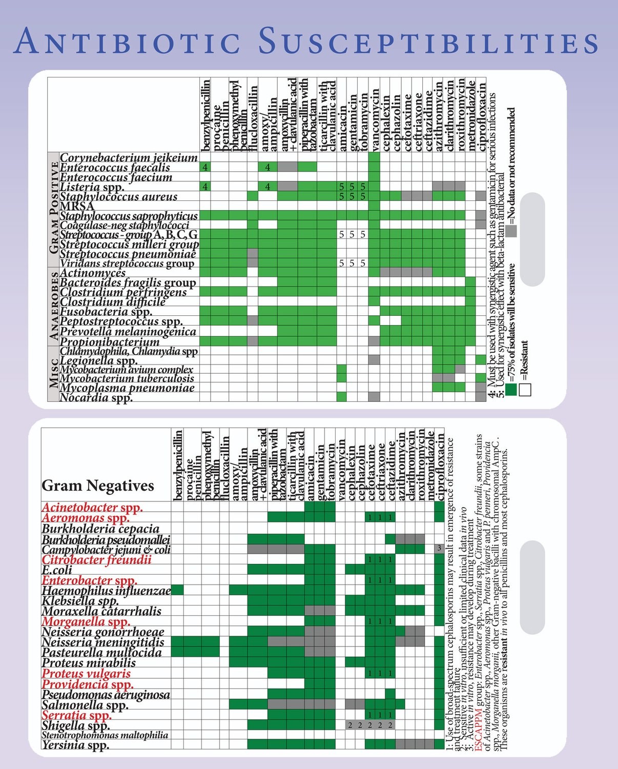 Antibiotic Susceptibility (Antibiogram) Lanyard Card