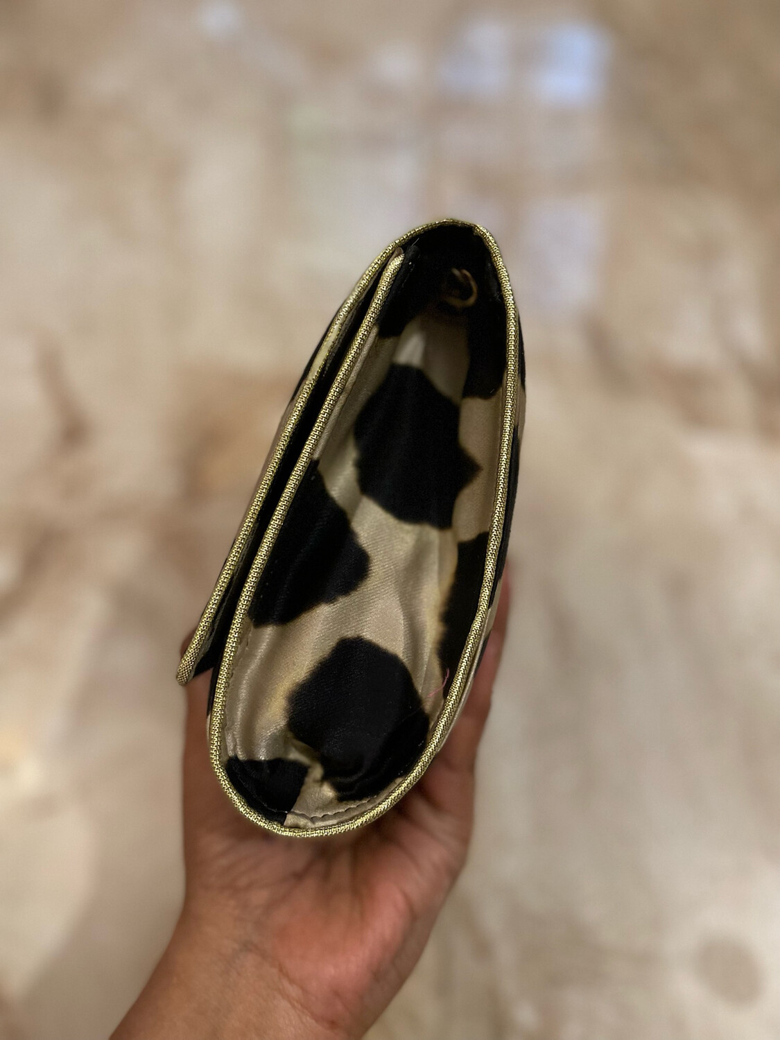 Cheetah 🐆