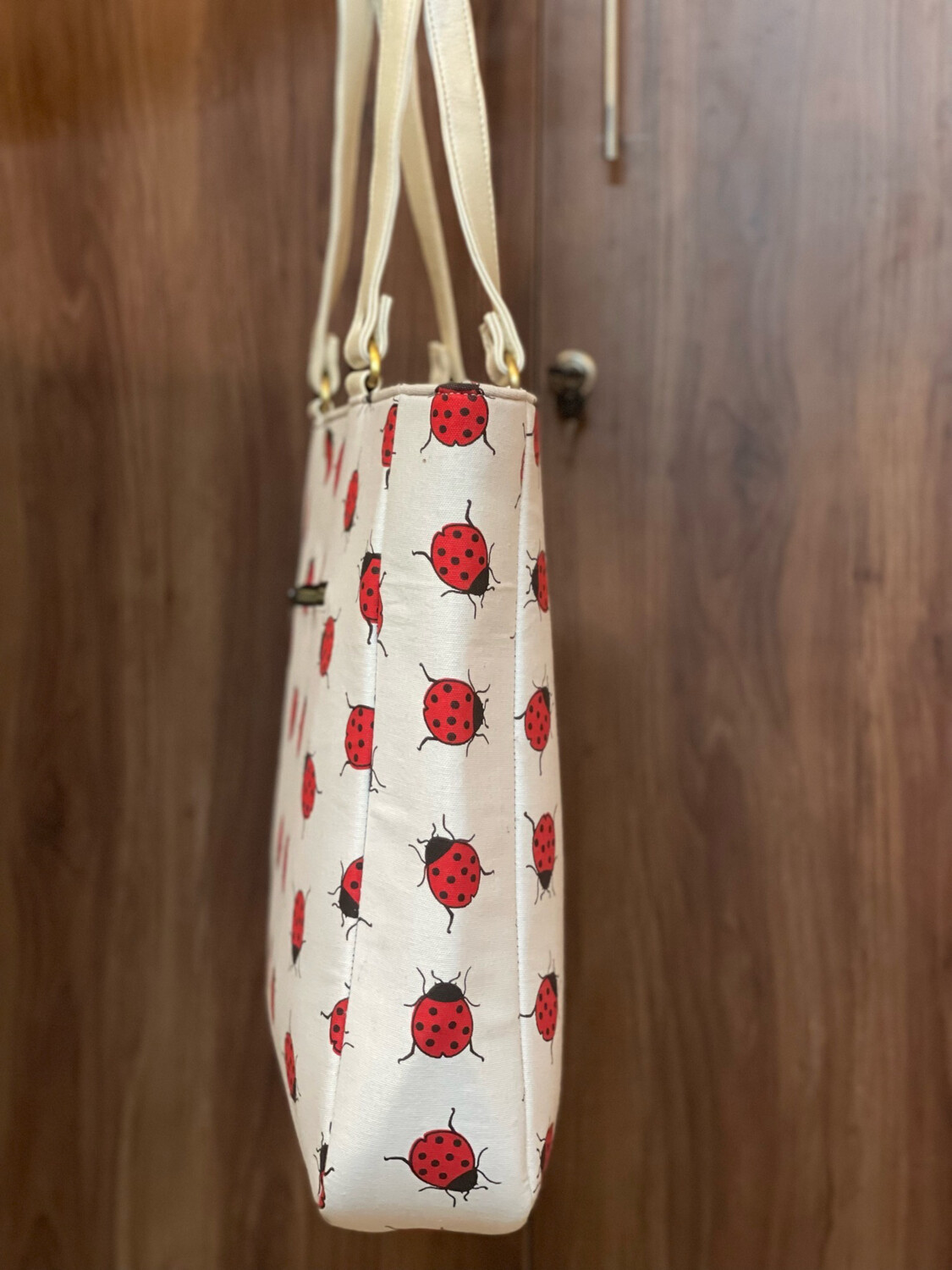 Lady Bug