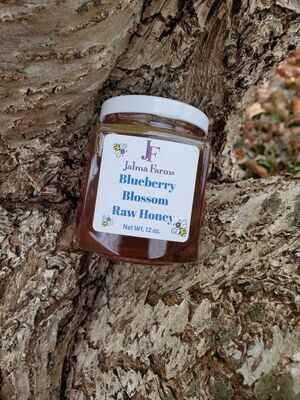 Blueberry Blossom Raw Honey 12 oz