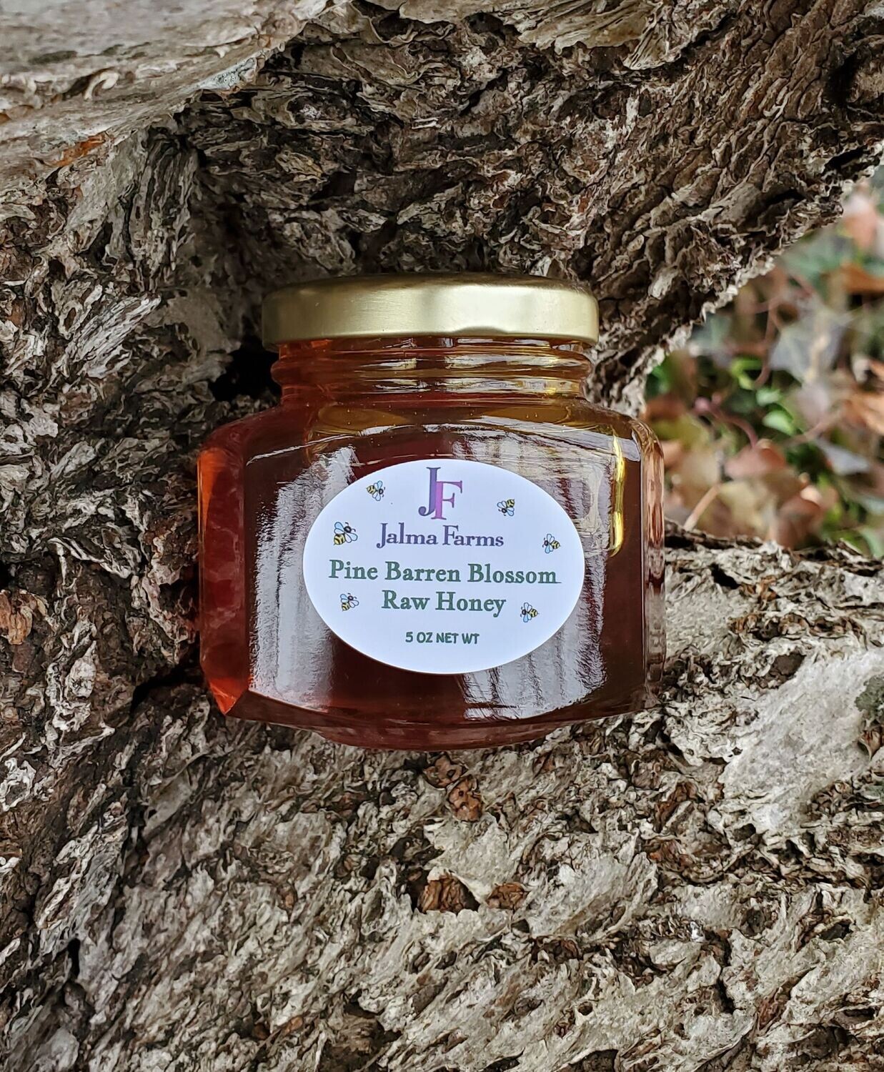 South Jersey Pine Barrens Blossom Raw Honey 5 oz