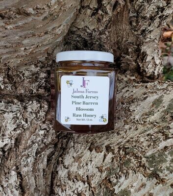 South Jersey Pine Barrens Raw Honey 12 oz