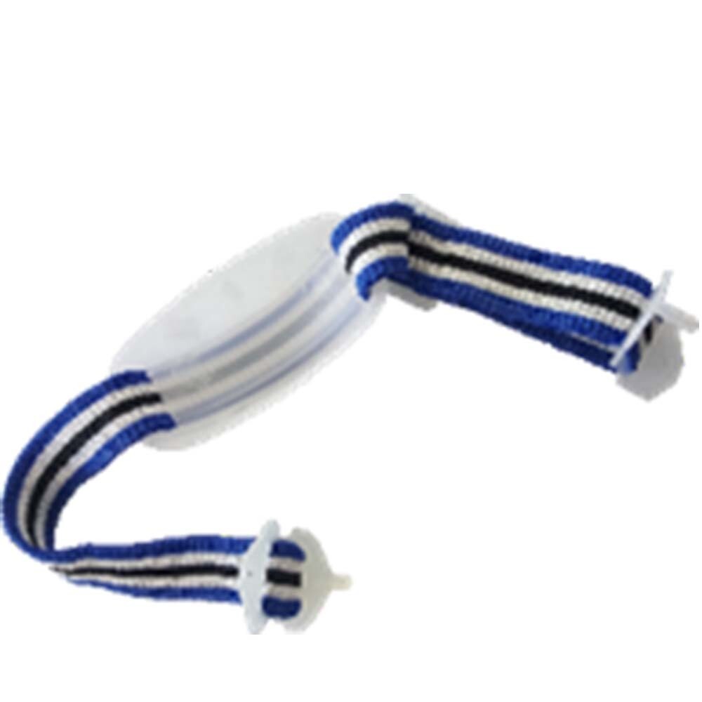 Chinstrap 2 Point