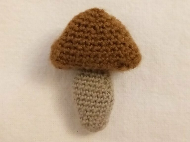 Pilz Braun Beige
