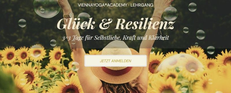 Option 3 - Ratenzahlung in 3 Raten