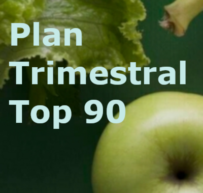 Plan Trimestral Top90