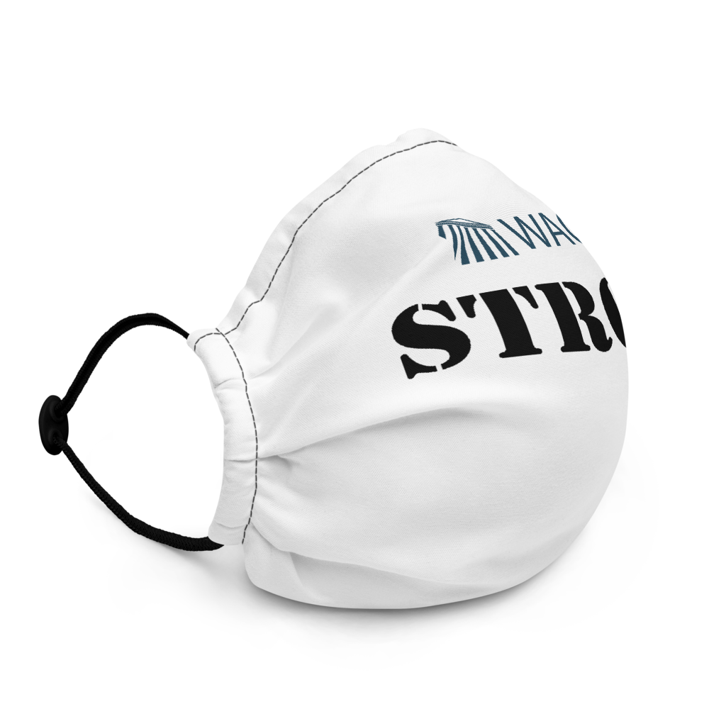 Premium face mask