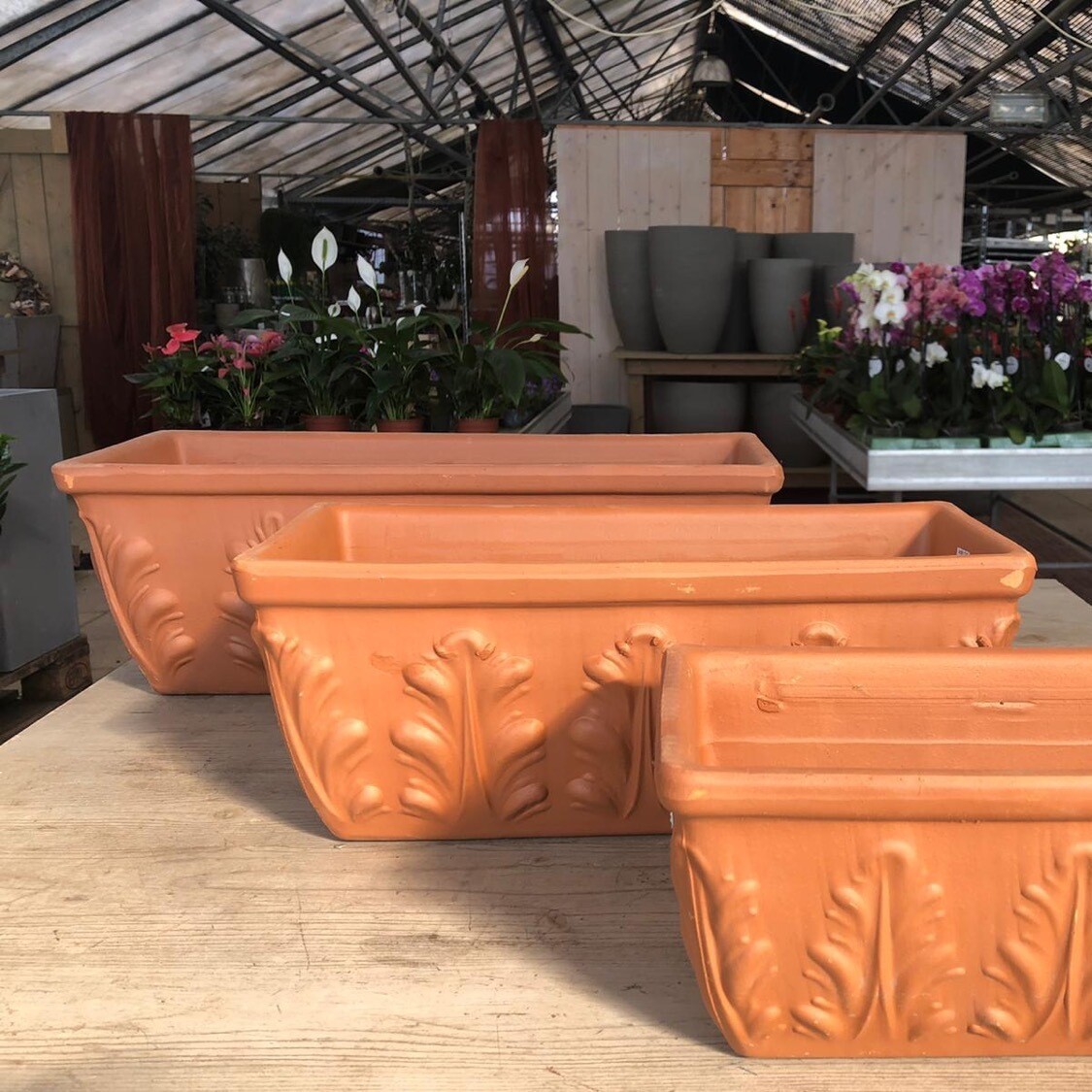 Blumenkasten Terracotta