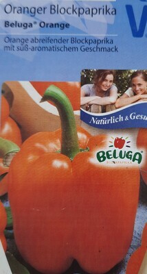 Oranger Blockpaprika "Beluga Orange"