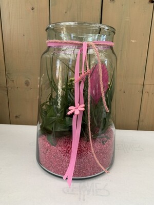 EINZELSTÜCK bepflanzte Vase mit rosa Steinchen
