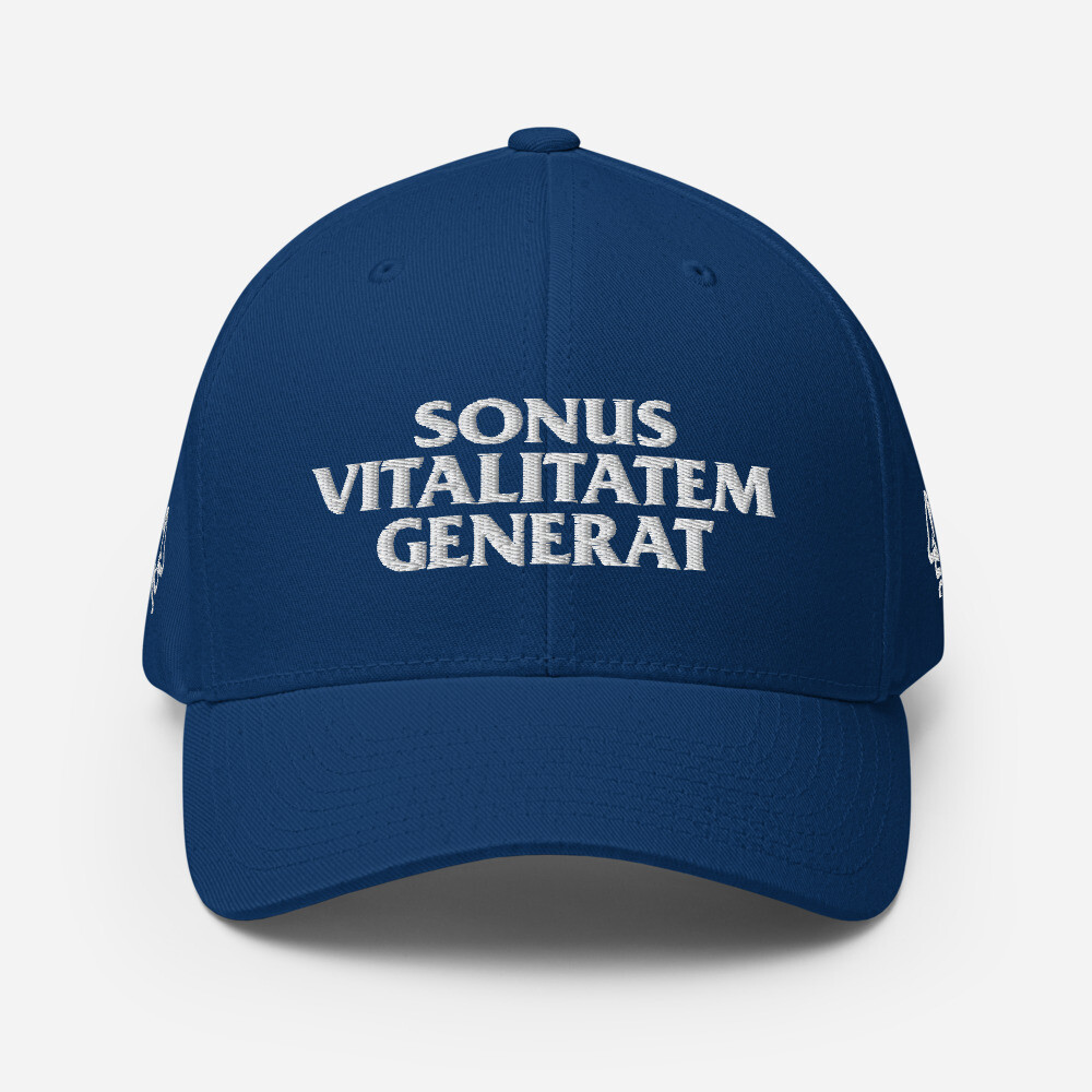 Generate Sound Vitality Cap, Color: Royal Blue, Size: S/M