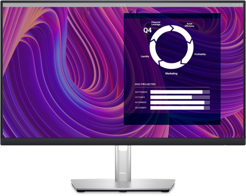 Dell Flat Panel 24&quot; P2423DE with USB-C
