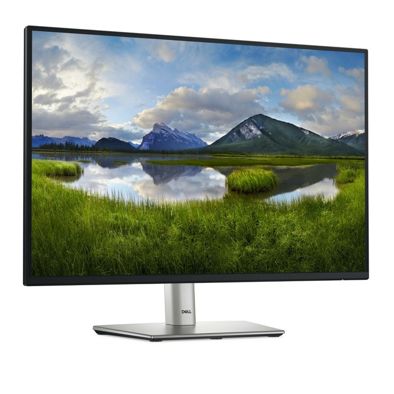 Monitor DELL Professional P2425 24&quot;, 1920x1200, WUXGA, 100Hz, IPS Antiglare, 16:9, 1500:1, 300 cd/m2, 8ms/5ms, 178/178, DP, HDMI, VGA, USB-B, 3xUSB-A, USB-C, Tilt, Swivel, Pivot, Height Adjust, 3Y