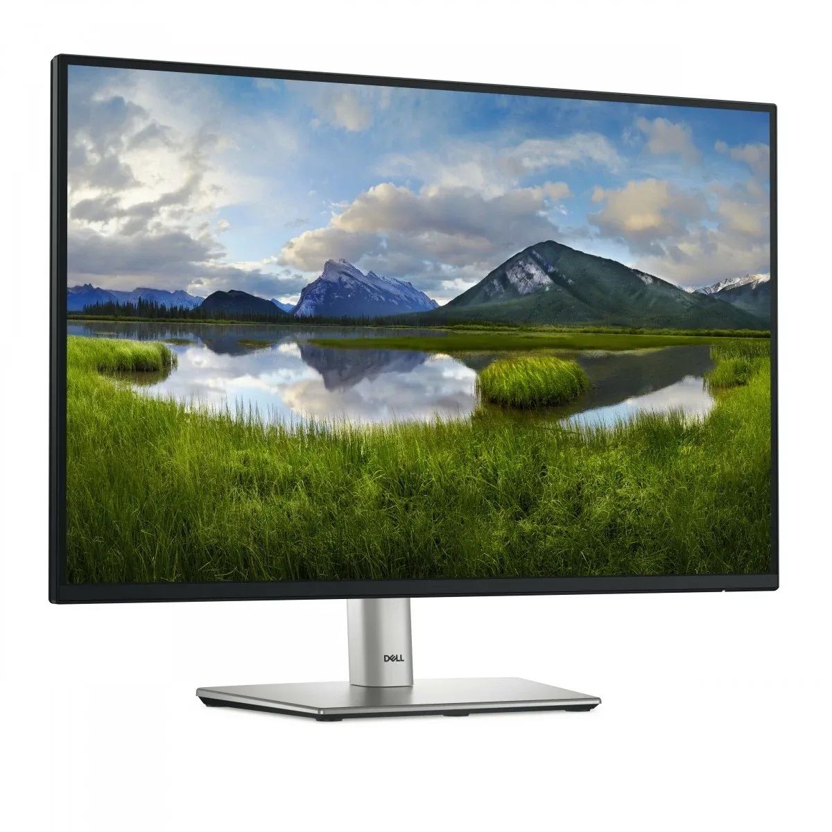 Monitor DELL Professional P2425E 24&quot;, 1920x1200, WUXGA, 100Hz, IPS Antiglare, 16:9, 1500:1, 300 cd/m2, 8ms/5ms, 178/178, 2xDP, HDMI, 3xUSB-A, 2xUSB-C, RJ-45, Tilt, Swivel, Pivot, Height Adjust, 3Y