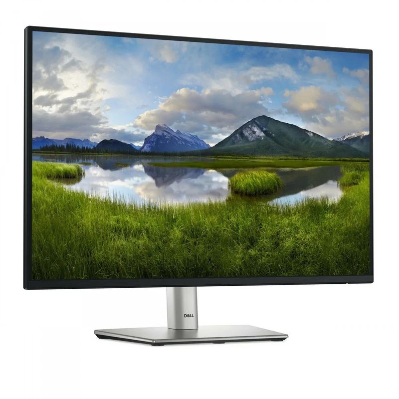 Monitor DELL Professional P2425E 24&quot;, 1920x1200, WUXGA, 100Hz, IPS Antiglare, 16:9, 1500:1, 300 cd/m2, 8ms/5ms, 178/178, 2xDP, HDMI, 3xUSB-A, 2xUSB-C, RJ-45, Tilt, Swivel, Pivot, Height Adjust, 3Y