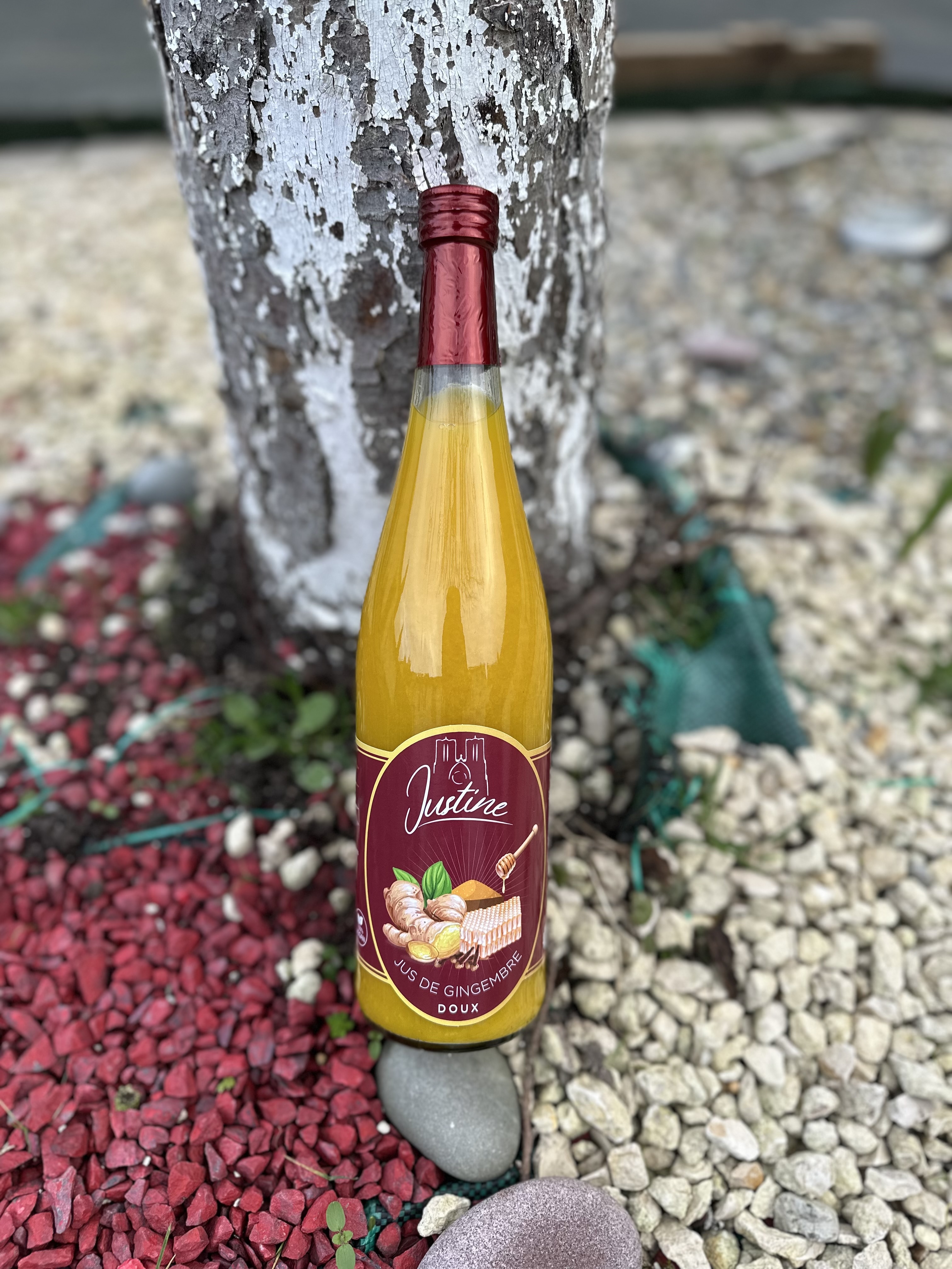 Jus de gingembre au miel, curcuma, clous de girofle