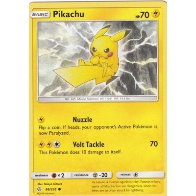 Pikachu 66/236